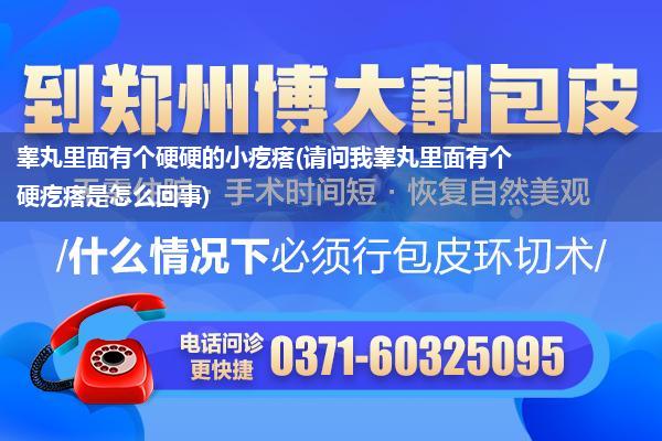 睾丸里面有个硬硬的小疙瘩(请问我睾丸里面有个硬疙瘩是怎么回事)